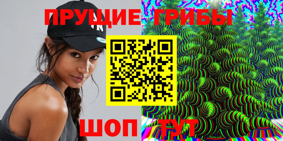 Псилоцибиновые грибы MAGIC MUSHROOMS  Вход с VPN  Кисловодск 