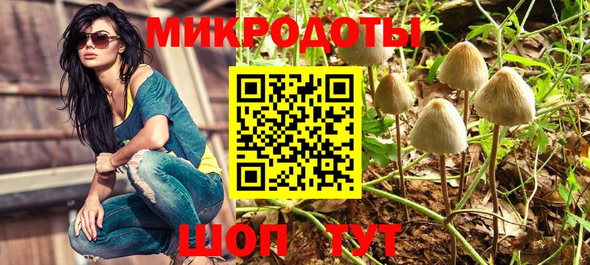 Псилоцибиновые грибы мицелий Кисловодск