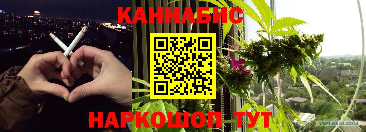 Бошки марихуана Ganja  Бошки марихуана конопля  Кисловодск  МАРИХУАНА White Widow  Вход с VPN 